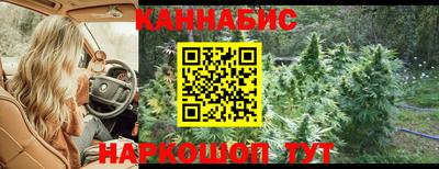 ГАЛЛЮЦИНОГЕННЫЕ ГРИБЫ Берёзовский