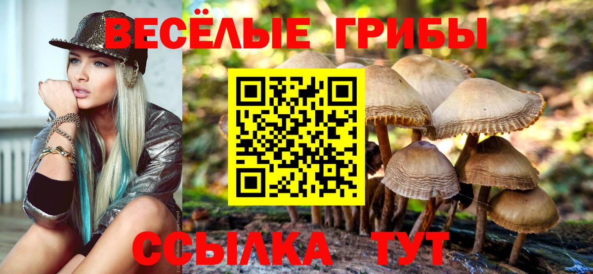 Галлюциногенные грибы мицелий  Галлюциногенные грибы MAGIC MUSHROOMS  Вход с VPN  Избербаш 